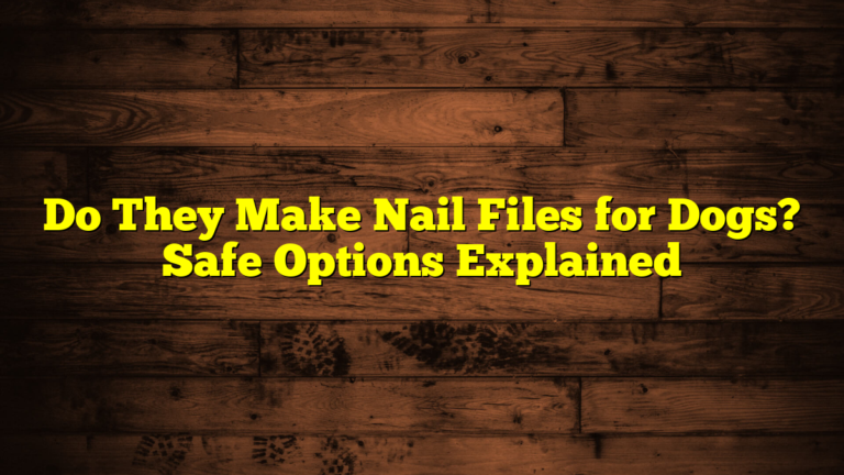 Do They Make Nail Files for Dogs? Safe Options Explained