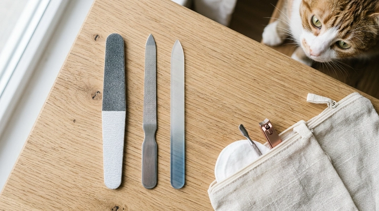 nail file types and safety around cats