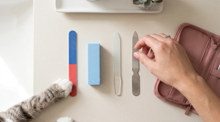 Emery board glass metal and foam nail files that can be dangerous when chewed by cats