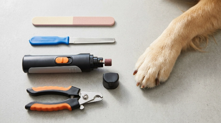 Human nail file vs dog nail file and grinder for dog nails